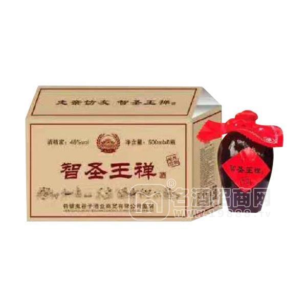 智圣王禪濃香型白酒 招商46° 500ml