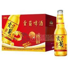 質(zhì)寶酒業(yè) 貢菊啤酒 全麥啤酒 整箱招商480mlx12瓶