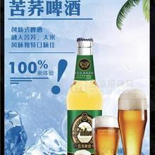 養(yǎng)生苦蕎啤酒招商