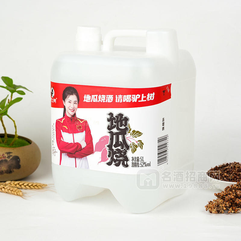 驢上樹地瓜燒酒52度白酒招商5L
