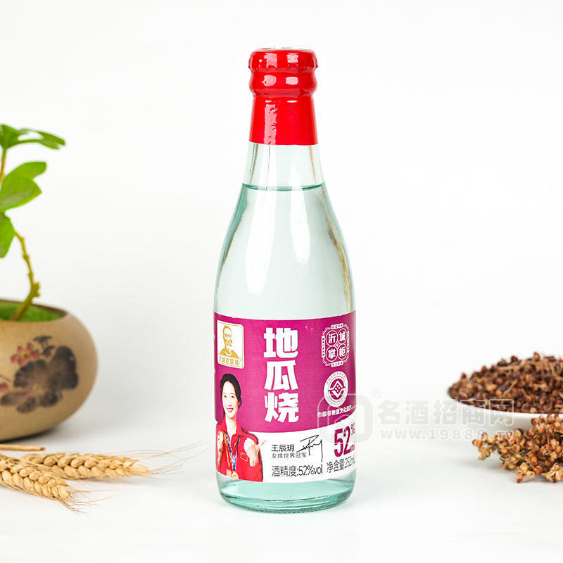 沂城掌柜地瓜燒52度白酒招商瓶裝