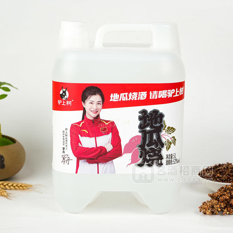 驢上樹地瓜燒酒白酒招商5L