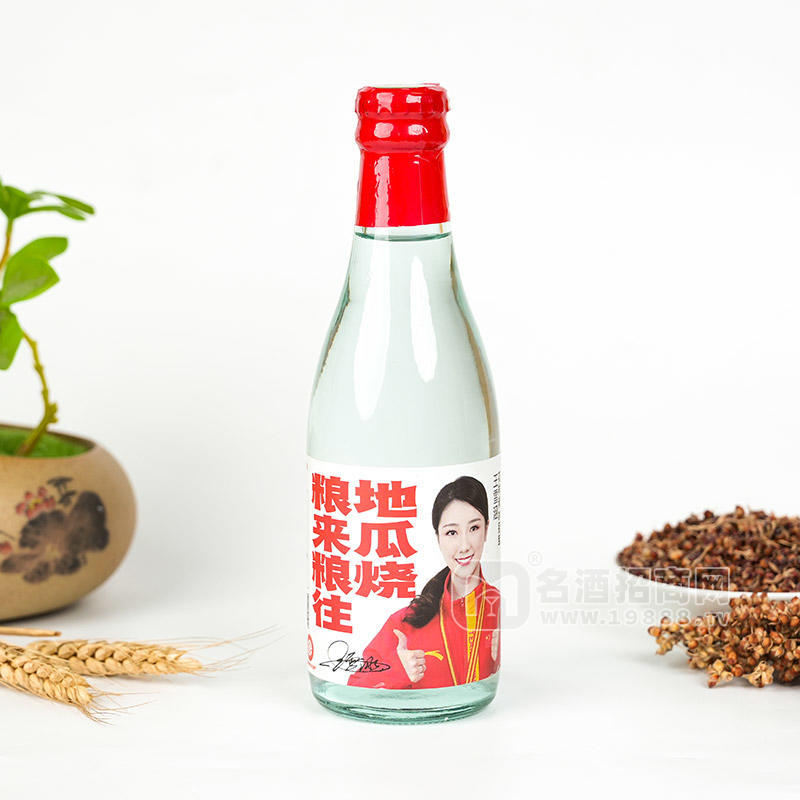 糧來(lái)糧往地瓜燒白酒廠家招商瓶裝