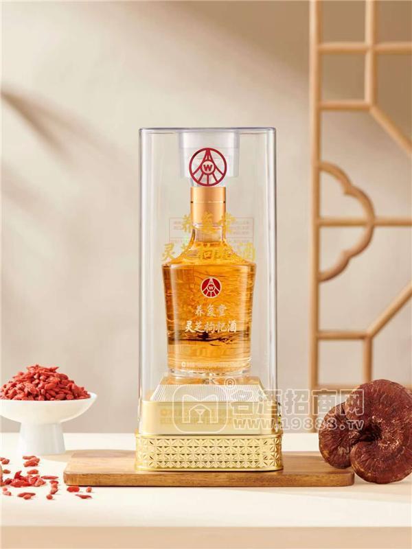 养复堂灵芝枸杞酒白酒 